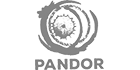logo pandow zw